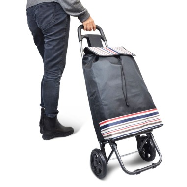 CHARIOT DE COURSE / DIABLE + TENDEURS